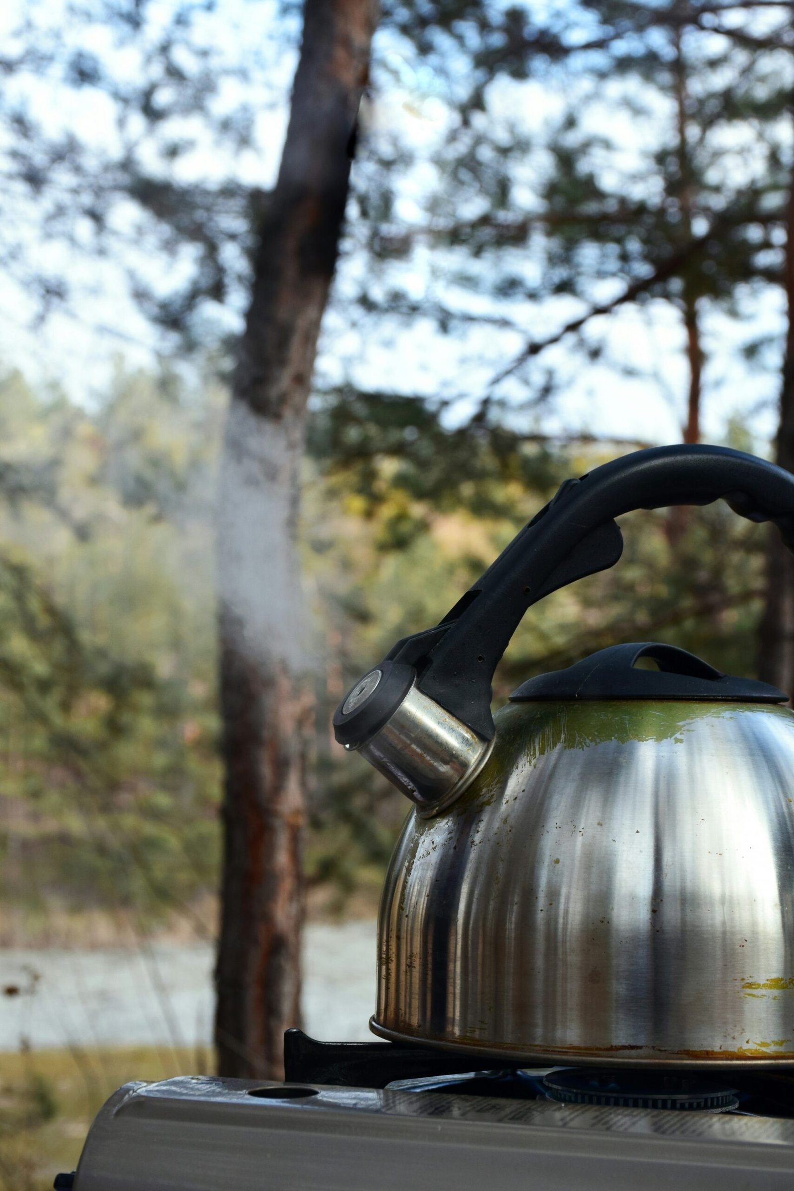 Explore and Rate the Best Travel Kettles for 2024